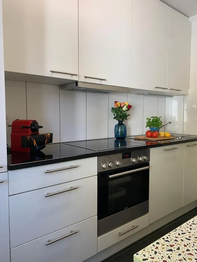 Modern 2 Bedroom Apartment Close To Zurich Airport Opfikon-Glattbrugg 0*,  Switzerland